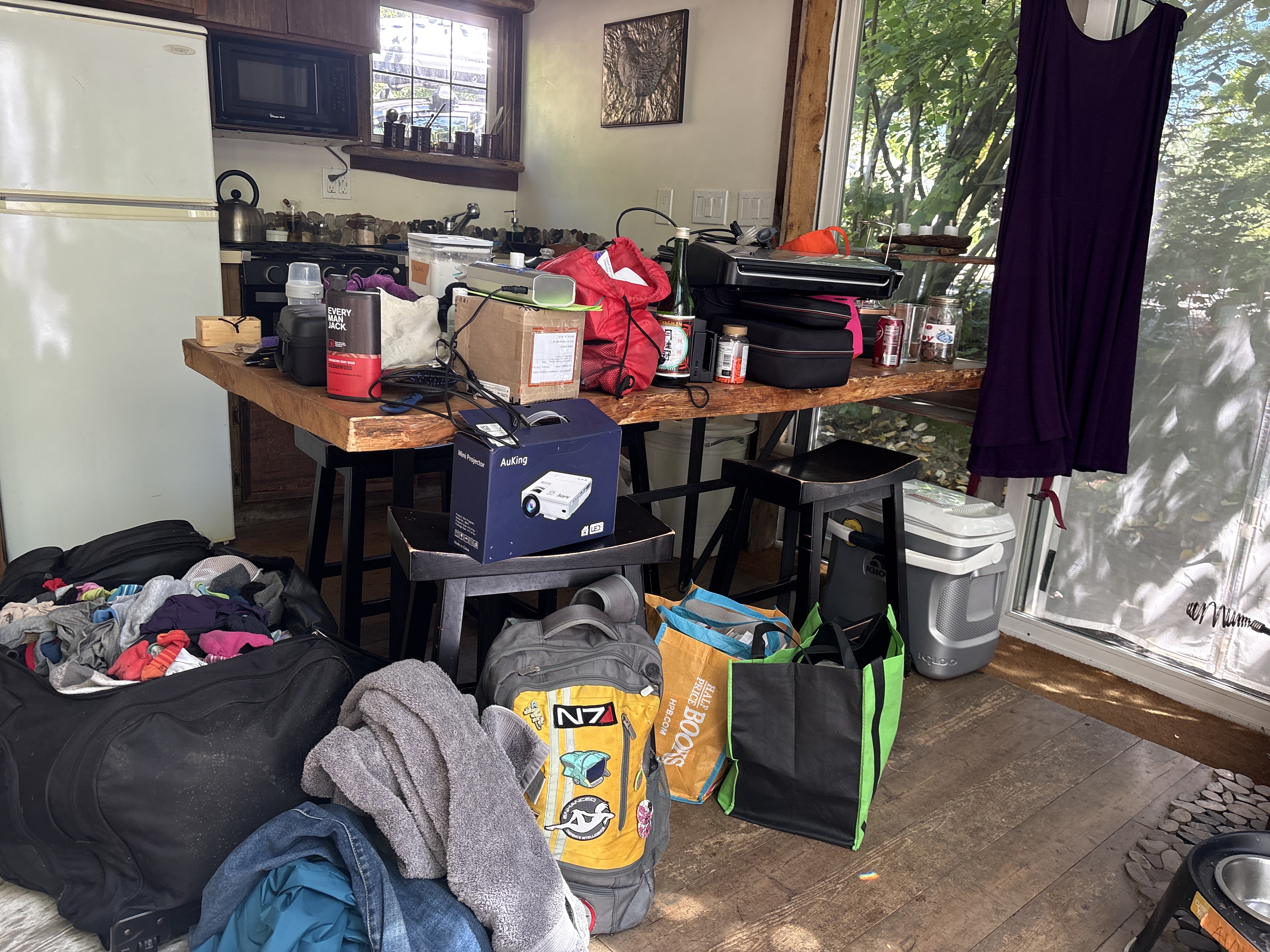 Prologue: The ID Story (Vashon Island, WA)